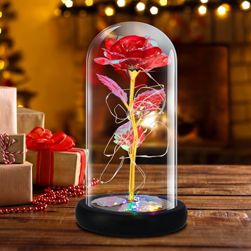 QUELIEN Beauty and Beast Rose,Galaxy Flower Rose Gift for Girlfriend,Glass Flower Roses,Unique Gifts for Women Christmas