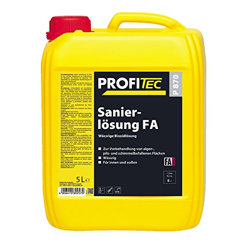 Preisvergleich Produktbild ProfiTec P870 FA Sanierlösung 5 Liter