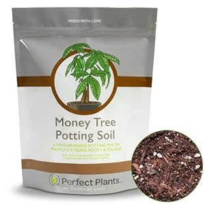 Perfect Plants Money Tree Potting Soil 4qt | Organic Coco Coir Based Plant Mix for Indoor Trees | Quickly Grow Your Indoor Forest