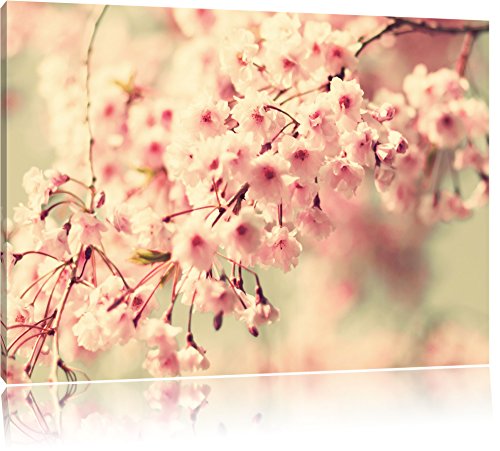 InstyleArt Fiori di ciliegio Stampa su Tela 60x40