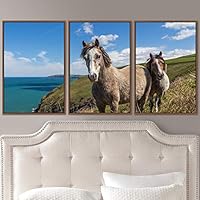 3 Piece Framed Canvas Wall Art A Friend with Me Animals Farmhouse Fun Horse Living Room - 16