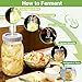4-Pack Mason Jar Fermentation Kit(Jars Included) Four 32oz Fermentation Jars with Plastic Fermenting Lids, Airlocks, Silicone Rings & Grommets, and Glass Weights for Easy Fermenting & Storage