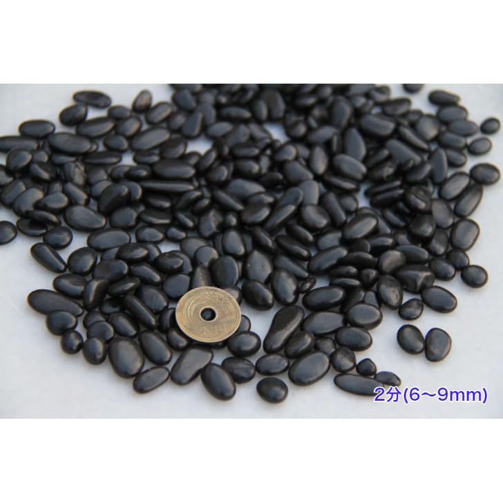 コリンシアン XL ロベルトバッジョ ACミラン コリンシアン PRO STARS