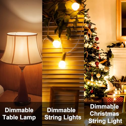 Palawell Outdoor Dimmer For String Lights,350 W String Light Dimmer Switch,100 Ft Remote Control Dimming Timer For Led Light,Lamp And Patio Light,Dimmer For Outdoor String Light,Dimmer Plug,Timer,Waterprooof thumb #1