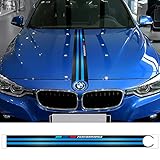 Dieser Car Sticker ist selbstklebend. Einfach Montage und Entfern, wird nicht Ihr Auto beschädigt.