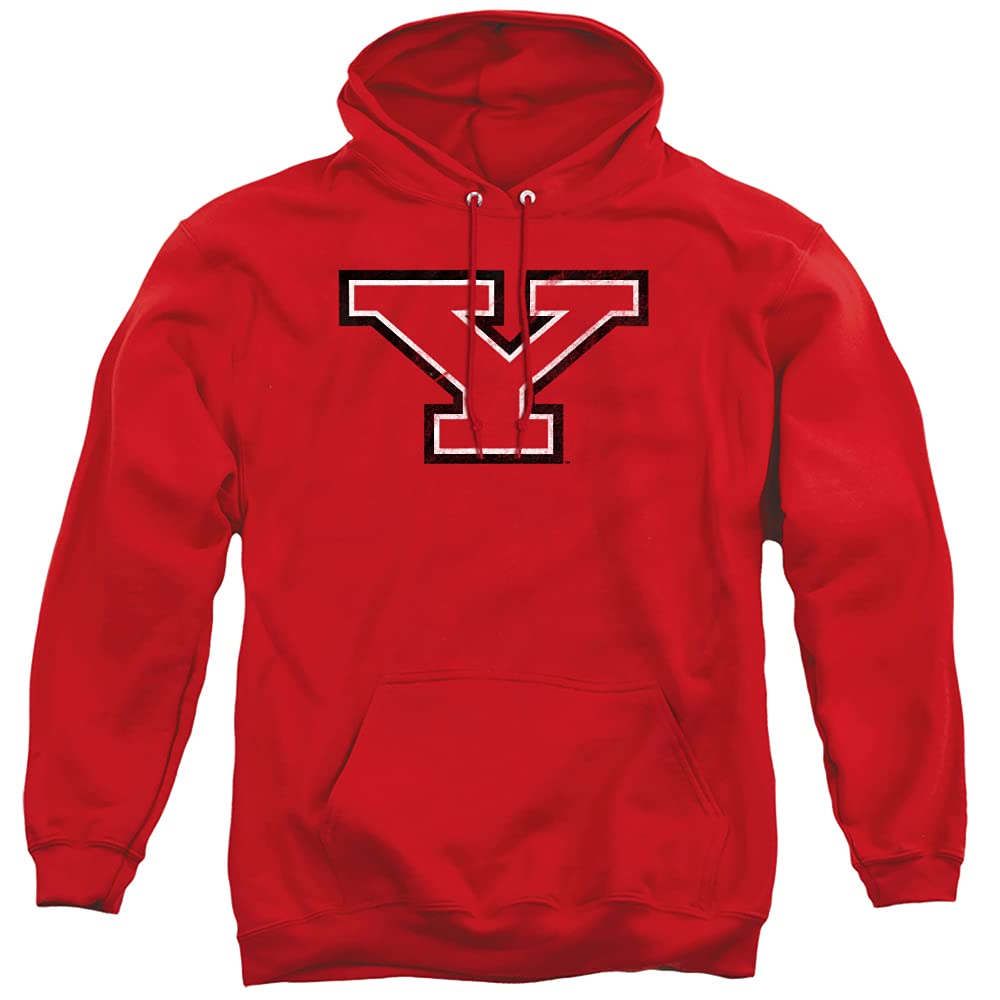 LOGOVISION Official Collegiate Distressed Primary Logo Adult Pullover Hoodie Collection — view 446