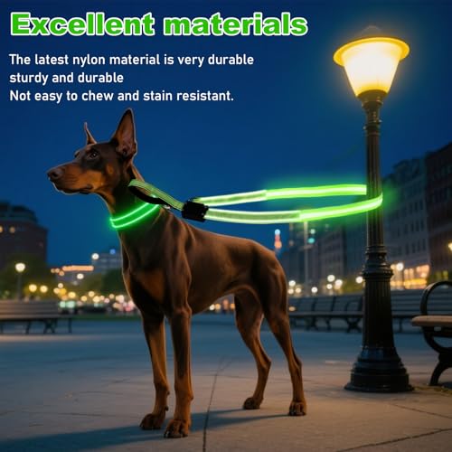 Behogan LED Hundeleine, 1.2M Wasserdicht Nylon LED Hundeleine, USB Wiederaufladbar Lichtfunktion Hundeleine Reflektierend, Clip Lampe für Nächtliche Spaziergänge (Grün)