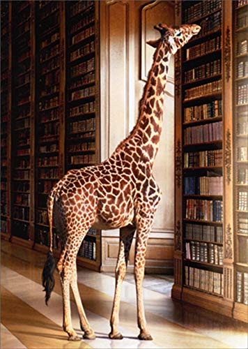 Giraffe at Library Funny/Humorous Graduation Card