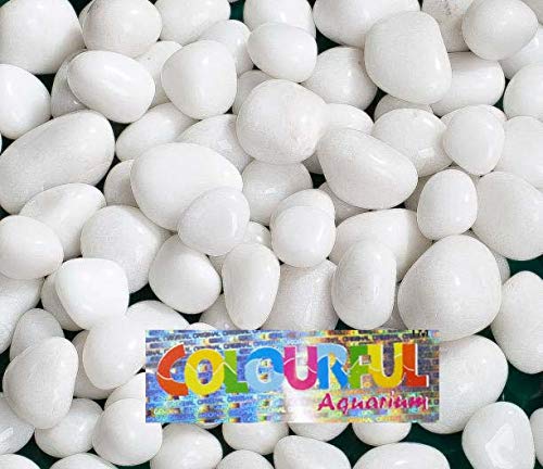 COLOURFUL AQUARIUM™ - Double Polished White Pebbles Decorative Stone for Home/Garden/Lawn/Aquarium Decoration (30-60mm, 5kg) (B07JVJBV4F) Amazon Price History, Amazon Price Tracker