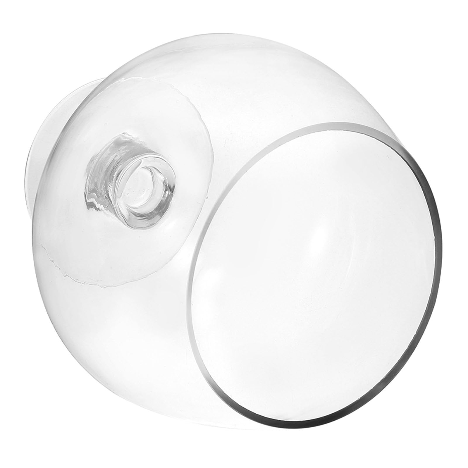 Aquarium en verre transparent compact de 19 cm pour petit espace
