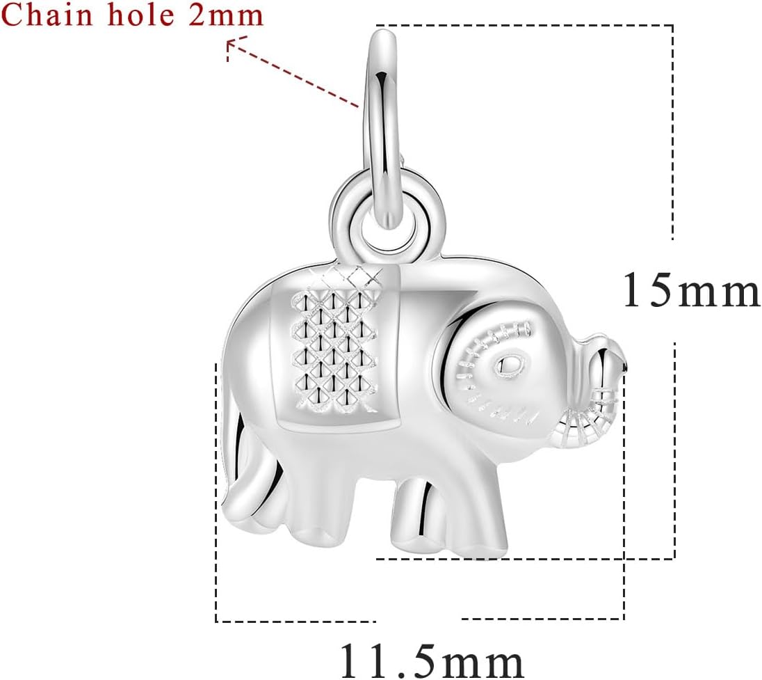 2Pcs 925 Sterling Silver Mini Charms Pendant Craft Supplies for DIY Bracelets Necklace Earrings Keychains Jewelry Making