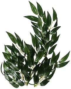 Exo Terra Planta Ruscus Small 35 cm PT3031