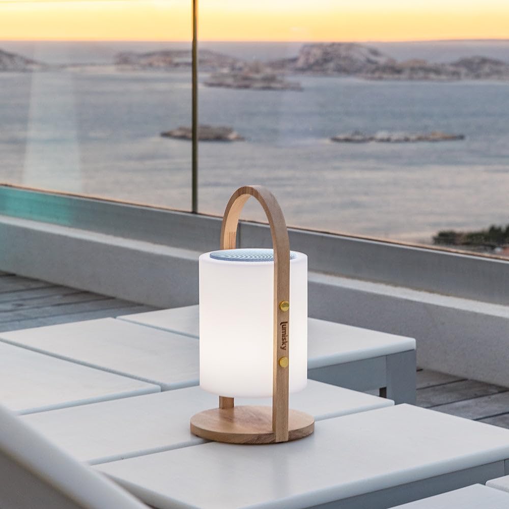Lampada altoparlante bluetooth senza fili H37CM WOODY PLAY