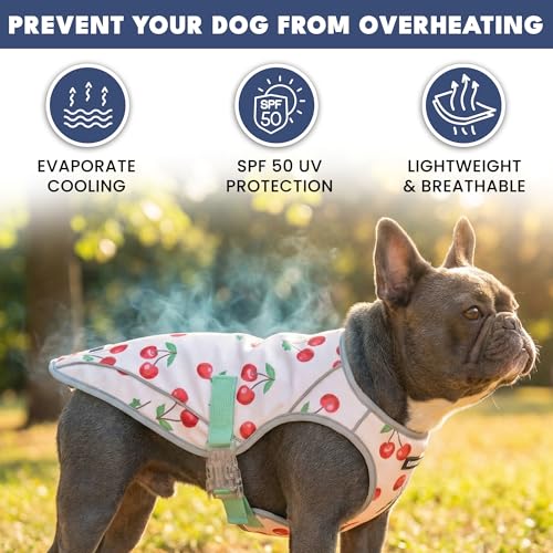 Image of Spark Paws Dog Cooling Vest - SPF 50 UV Sun Protection - Summer Heat Relief Gear for Dogs, Lightweight, Evaporative Cooling - Dog Anxiety Relief Vest During Hot Days - Cherries - Size XL