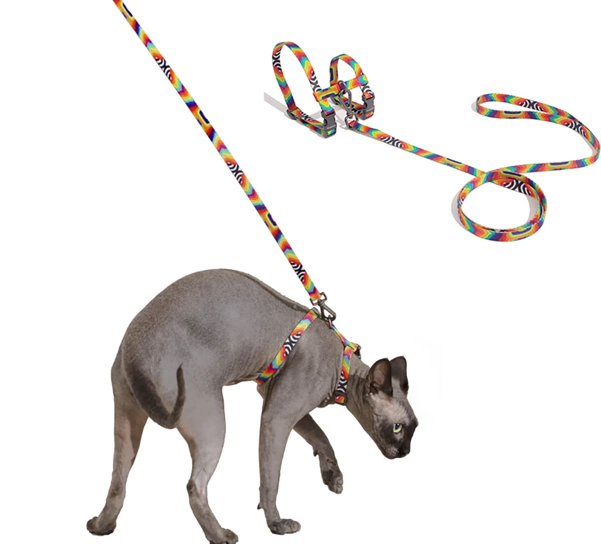 rainbow cat harness
