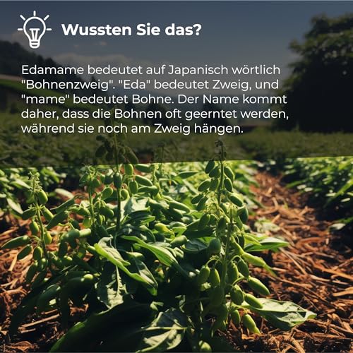 Edamame Bohnen 1 Kg | Sojabohnen geröstet leicht gesalzen | Bohnen Getrocknet I Glutenfrei und reich an Proteinen | GMO-frei | geeignet für Snacks und Diätmahlzeiten I Black Beans I Soja I Dorimed