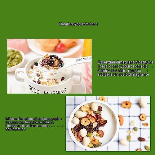 Yogurtiera, Yogurtiera Francese e Greca, Yogurtiera in Acciaio Inossidabile da 15 W per Yogurt Biologico Domestico, Macchina per Formaggi, Natto Maker, Regali (Spina UE 220V)