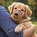 JorVet Nylon Basket Muzzle | Quick Release Buckle | Soft, Adjustable & Breathable | Comfortable Fit for All Dogs (Beige, #10)