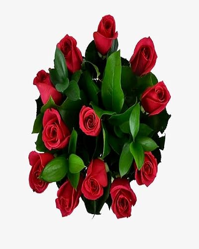 KaBloom PRIME NEXT DAY DELIVERY - Fall Collection - 12 Red Roses with Classic Chocolate Dipped Strawberries with Vase.Gift for Birthday, Sympathy, Anniversary,Valentine, Mother’s Day Fresh Flowers