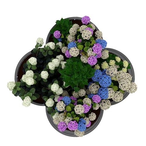 Garvee 2 Pack Galvanized Raised Garden Bed, Outdoor Planter Box with ...