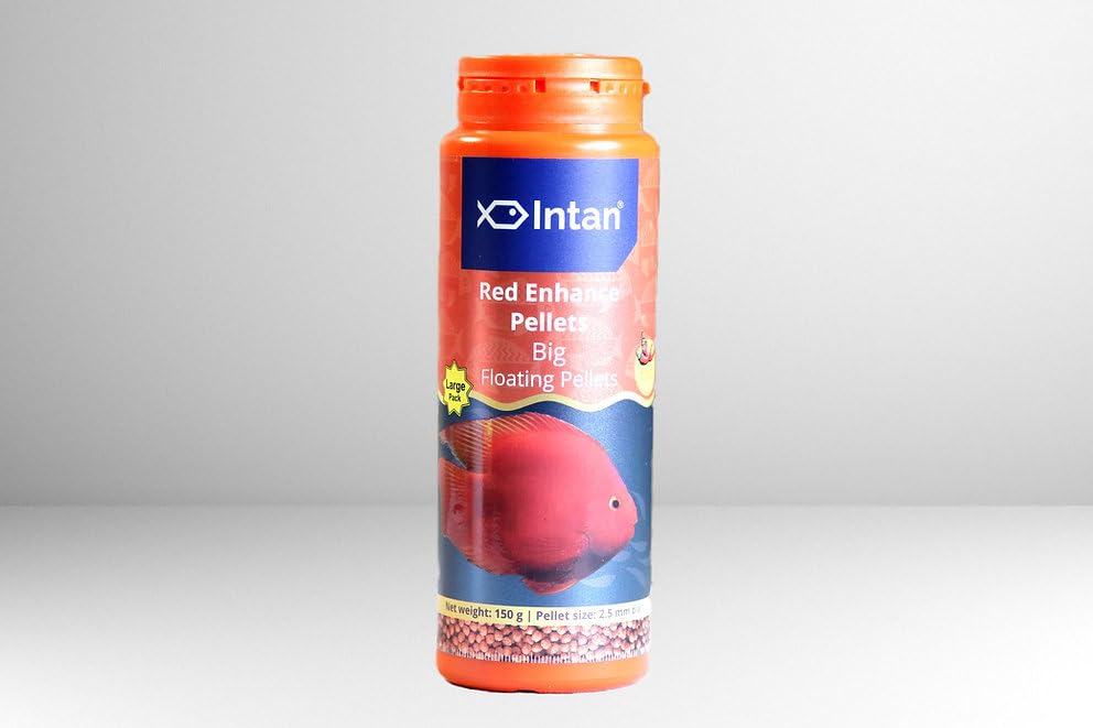 See full amazon price history chart for Intan Red Enhance Floating Pellets (Big - 2.5 mm), 150 GMS. Red Parrots and Other Cichlids Fish Food which Includes Chilies, Marigolds, and Astaxanthin to enahnce Red Color Intan Red Enhance Floating Pellets (Big - 2.5 mm), 150 GMS. Red Parrots and Other Cichlids Fish Food which Includes Chilies, Marigolds, and Astaxanthin to enahnce Red Color (B0CBXJLYHX) Amazon Price History, Amazon Price Tracker