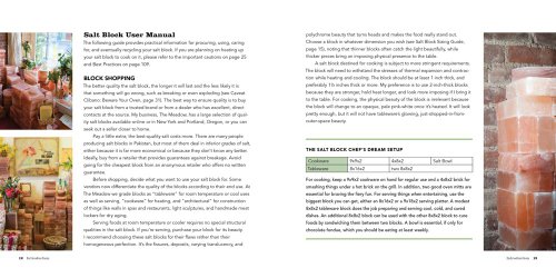 Salt Block Cooking: 70 Recipes for Grilling