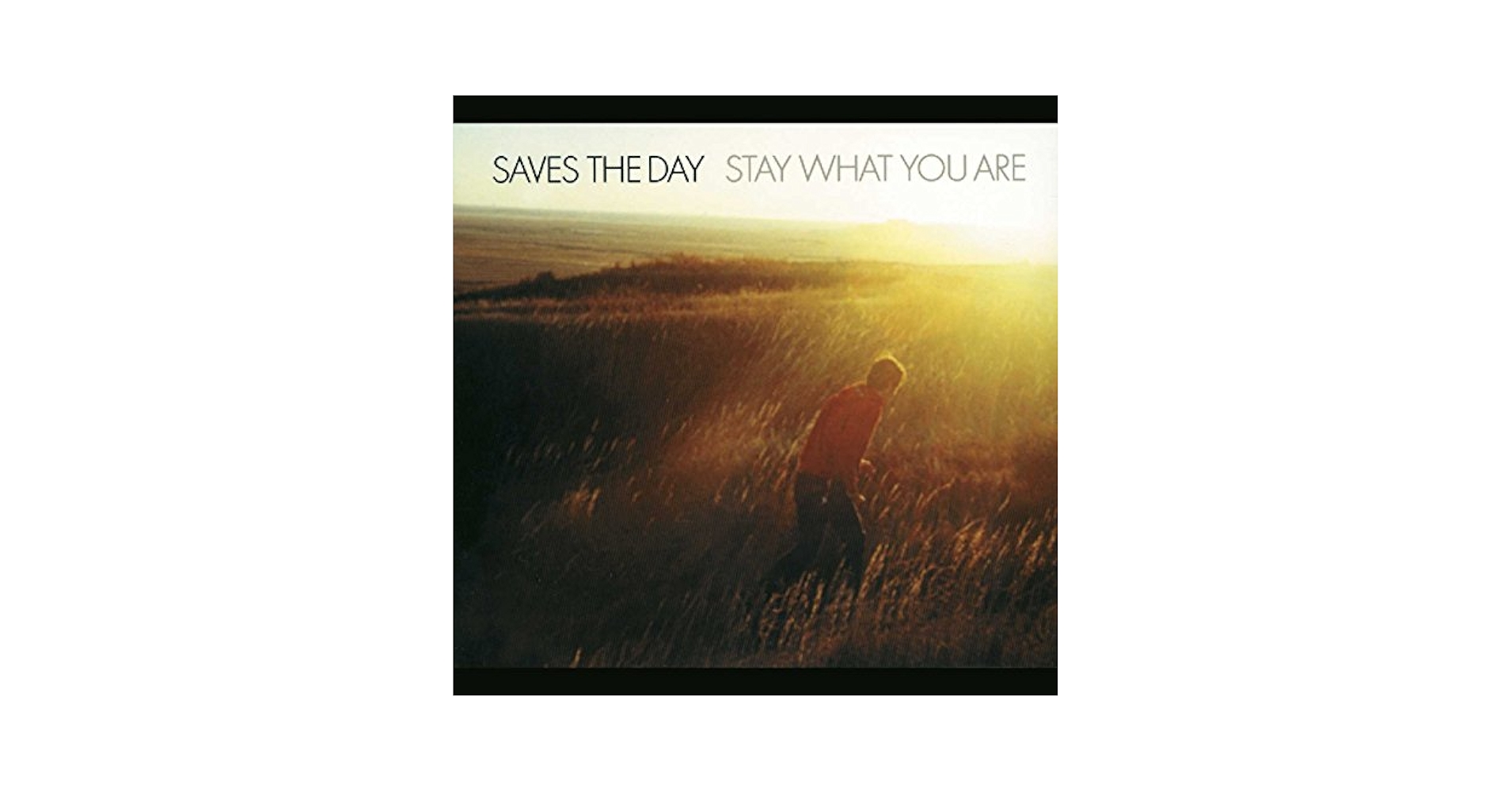 【レコード】 Saves the day / Stay what you are Saves the Day - Stay What You Are - 10-Inch Vinyl - Amazon