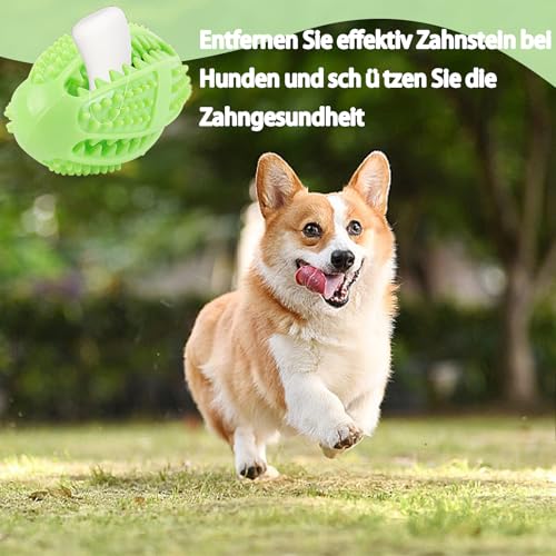 agogue Hundespielzeug Unzerstörbar, Starker Naturkautschuk Hundespielzeug Kleine Hunde, Zahnpflege Kauspielzeug Hund Unzerstörbar für Klein Mittel und Großhündchen Kauen