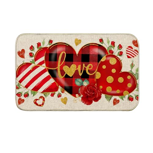 Paillasson pour la Saint-Valentin, extérieur et porte d'entrée, tapis de sol antidérapant pour porte d'entrée, tapis de sol pour entrée à l'extérieur de la maison, 43,2 x 73,7 cm
