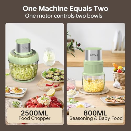 Image of COSTAR 400 Watts Electric Chopper for Kitchen Use, Vegetable Chopper with 2.5L & 0.8L Glass Bowls, Dual Blades Combo for Vegetables, Meat, Onion, Spices, Advanced Safe Technology