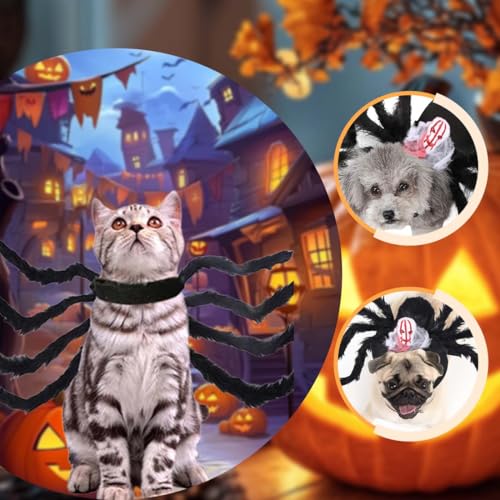Halloween Kostüm für Katzen und kleine bis mittelgroße Hunde, Schwarz, Größe L, Filz, Einzigartiges Spinnen-Design Hundekostüm Spinne,Plüsch,mit formbaren Beinen, leicht und bequem