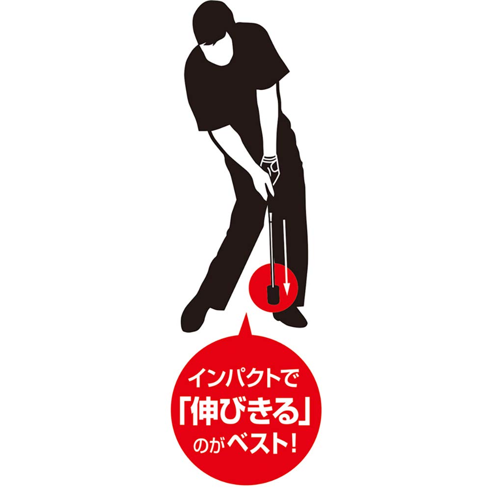 ダイヤ(DAIYA) スイング練習機 ダイヤスイング ダイヤスイング531 ユニセックス TR-531 両手 dwos6rj ダイヤスイング531 スイング練習器 | ダイヤゴルフ
