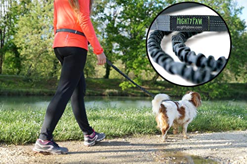 image for Mighty Paw Hands Free Dog Leash | Bungee Waist Leash for Dog Walking. 