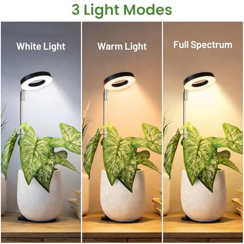 Image of LBW Grow Light for Indoor Plants,Full Spectrum Plant Light with Base,Height Adjustable Plant Grow Lamp with Auto Timer 6 /8 /12 /16H, 3 Colors,5 Dimmable Brightness, for Small Plants,Black, 3 Packs