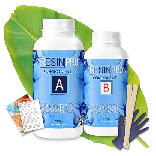 Resin Pro - 320 GR Résine Èpoxy Transparente non Toxique - Bicomposant A+B, Effet d'Eau, Polissage, pour Créations Artistiques, Restauration, Carrelage Mural, Revêtement de Sol, Modelage