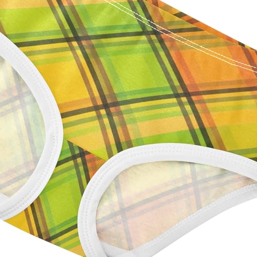 Print Toddler Underwear Floral 2t Cotton Little Girl Panties Colorful Yellow Plaid Black Stripe Undies Kids Briefs4