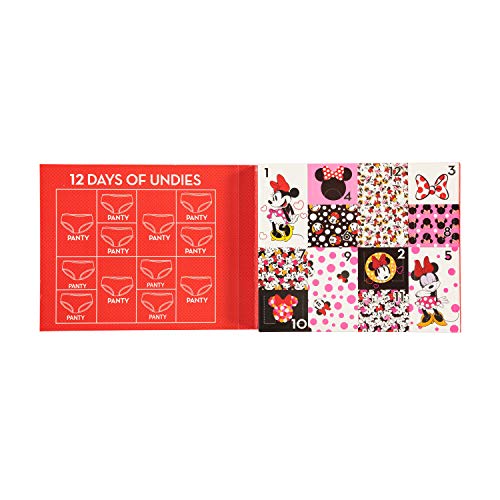 Disney girls Minnie Mouse Exclusive 12-PK Avent Box of Panties Perfect for Gifting & Potty Training Fun in Sizes 2/3T & 4T3
