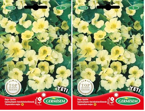 Germisem Yeti Semi di Crescione Cappuccino 5 g (Confezione da 2)