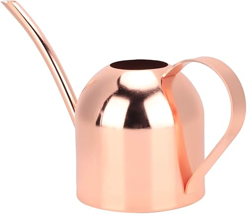Fydun 500Ml Less Steel Watering Bottle for Outdoor and Indoor House Plants Rose Gold Wide Range of Uses (Rose Gold)