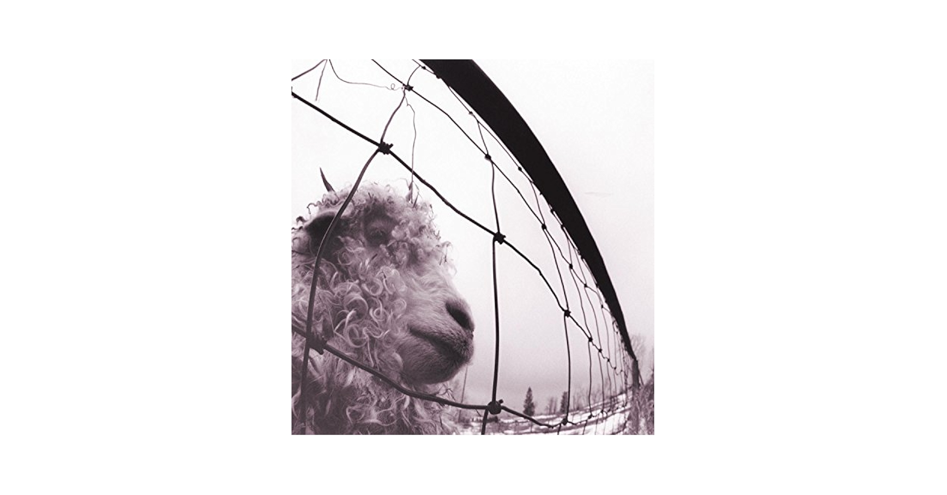 欧LP Pearl Jam Vs. 88697843131 Sony Music, Epic, Legacy /00400 Pearl Jam – Vs. – Vinyl (Clear, LP, Album + 4 more), 2023