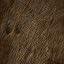 Brown Beaver Bear