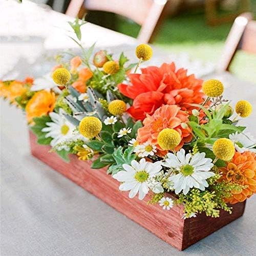 30 flores secas naturales Billy Balls Amarillas Craspedia miniatura 7