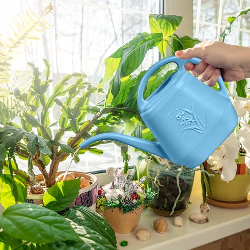 Image of Plastic Watering Can - for Indoor and Outdoor Plant - 1 /2 Gallon - SkyBlue