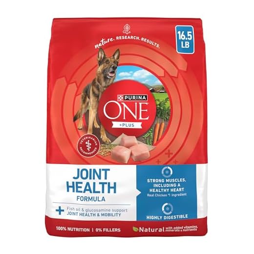 Purina ONE Plus Joint Health Formula Natural With Added Vitamins, Minerals and Nutrients Dry Dog Food - 16.5 lb. Bag