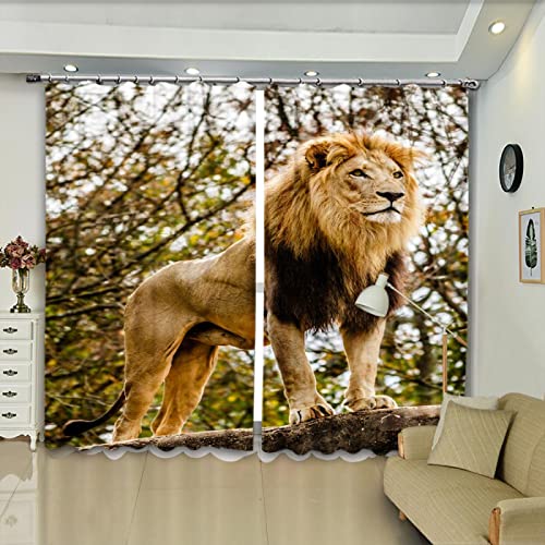 HAOGG Cortinas Térmica Aislante Cortinas Opacas Cover