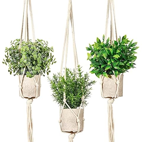 Artificial Plants 3 Pack Mini Fake Hanging with Macrame Plant Hangers Decorative Faux Greenery Decor for Shelves Wall Kitchen Farmhouse Bathroom Home Office Cover