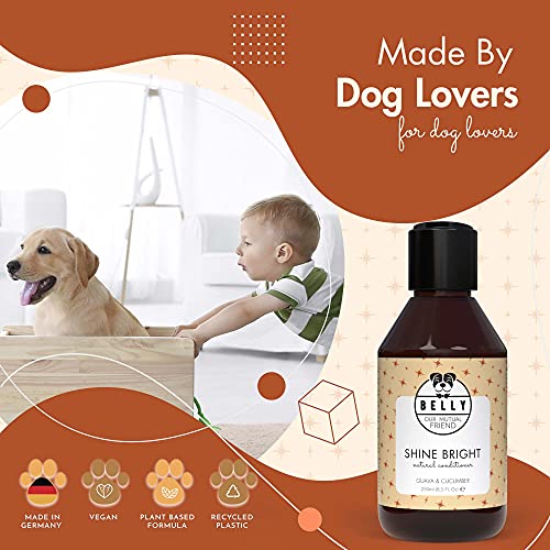 Belly - Veganer Hundeshampoo & Conditioner für Hunde - 250ml - Fellpflege, Hunde Conditioner gegen Geruch, Hundeshampoo für Langhaarhunde & Welpen