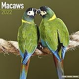 Macaws Calendar 2022 - Monthly Wall Calendar 2021-2022 - Made In USA - 12 x 24 (Open), Wall Calendar...