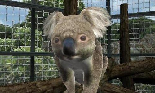 Amazon アニマルリゾート 動物園をつくろう 3ds ゲームソフト