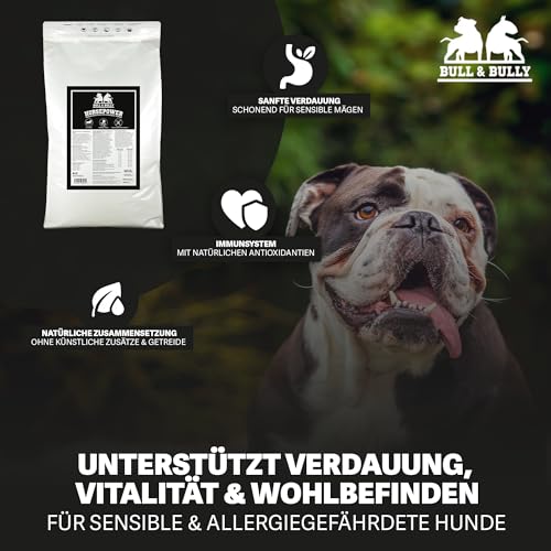 BULL & BULLY – Big Bully Horsepower 10 kg Hundefutter Trocken Getreidefrei – Hundefutter & Hundeleckerli Pferd Pur – Pet Hunde Leckerlis Pferd & Hundesnack für empfindliche Hunde & Senioren